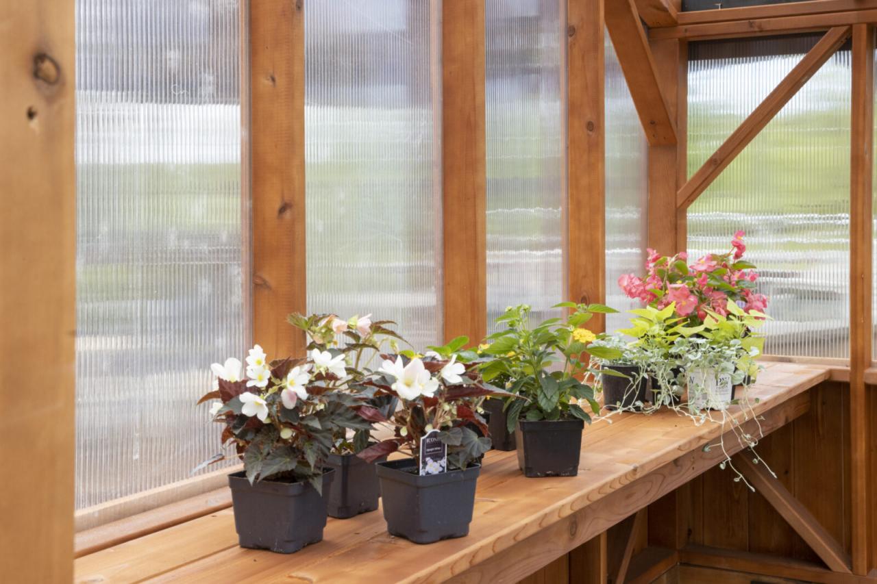 Pergola Greenhouse